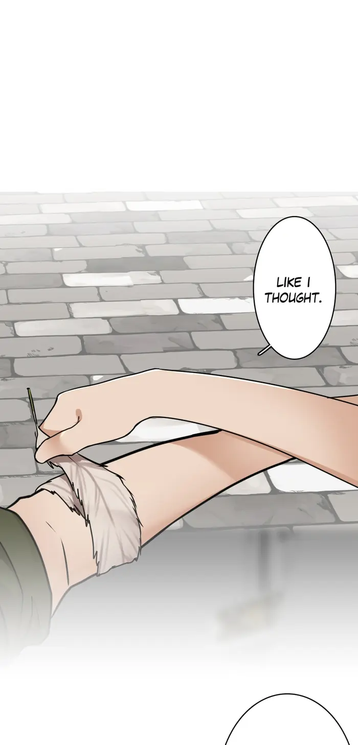 The Beginning After the End Chapter 28 image 28_optimized